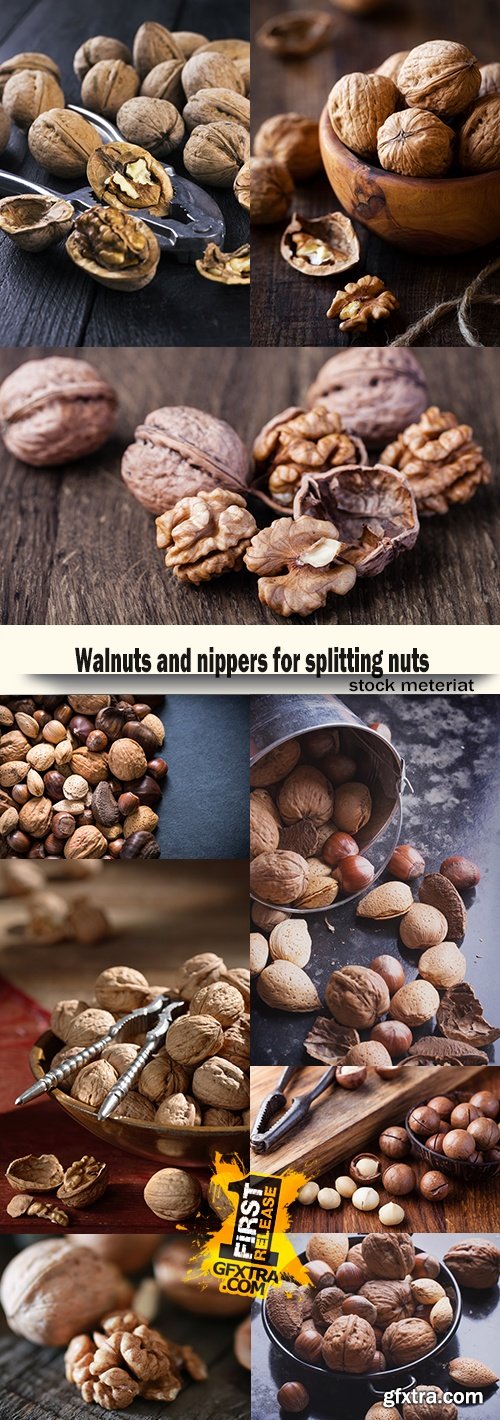 Walnuts and nippers for splitting nuts