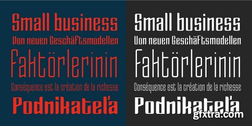 Enza Expanded Font Family - 8 Fonts