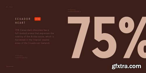 TT Chocolates Condensed Font Family - 10 Fonts