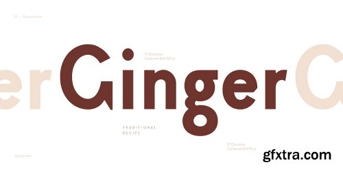 TT Chocolates Condensed Font Family - 10 Fonts