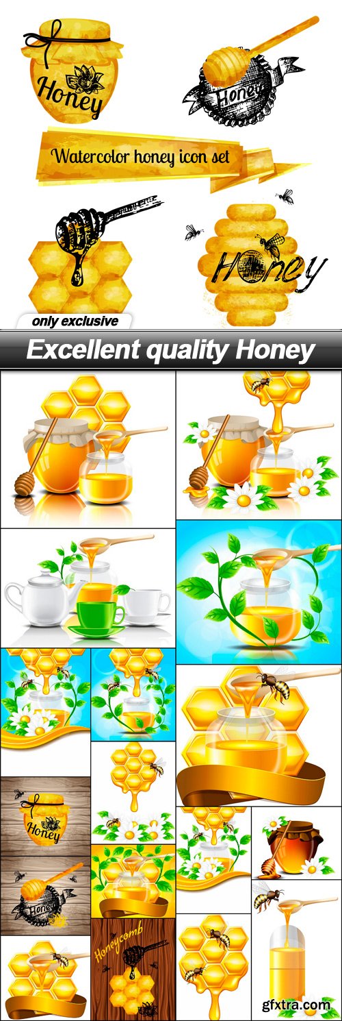 Excellent quality Honey - 17 EPS