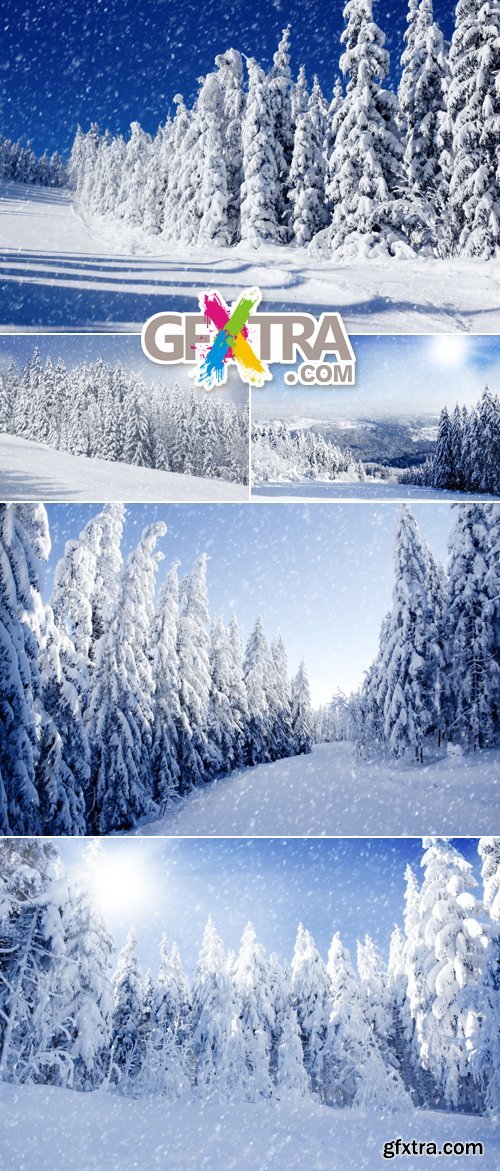 Stock Photo - Winter Nature 8