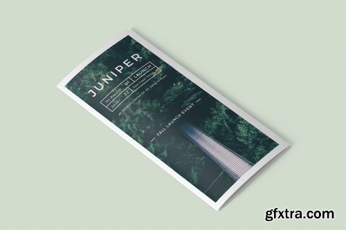 CreativeMarket J U N I P E R Trifold Brochure 843855