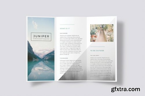 CreativeMarket J U N I P E R Trifold Brochure 843855