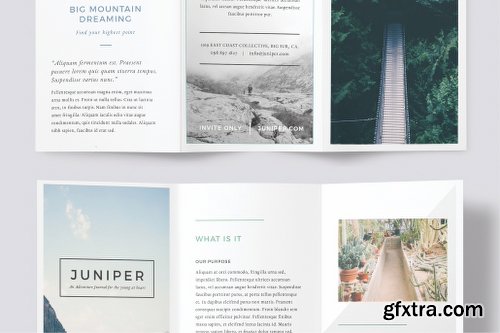 CreativeMarket J U N I P E R Trifold Brochure 843855