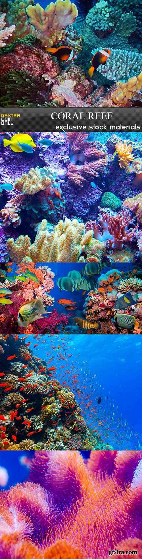 Coral reef - 5UHQ JPEG