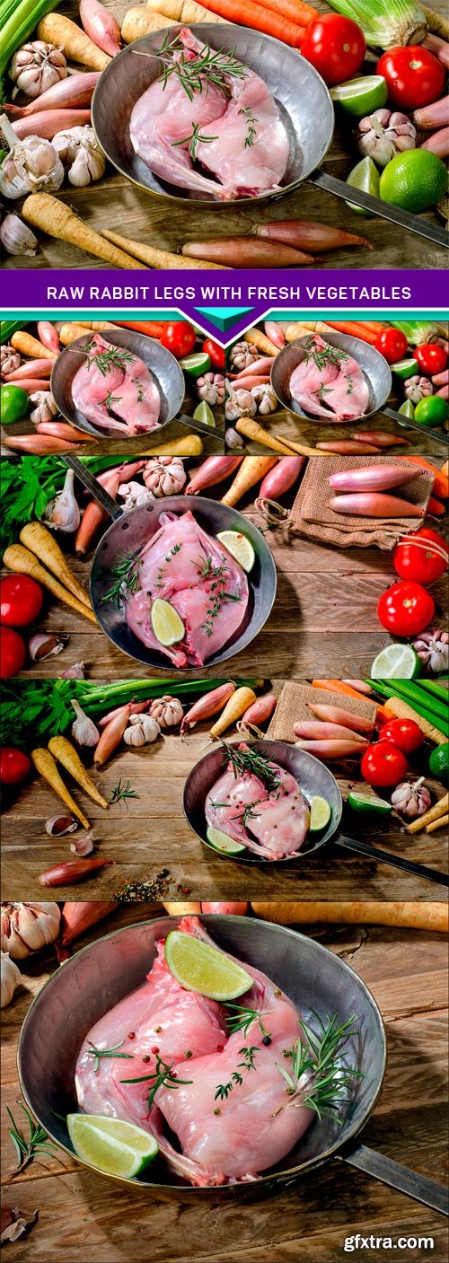 Raw rabbit legs with fresh vegetables 5X JPEG