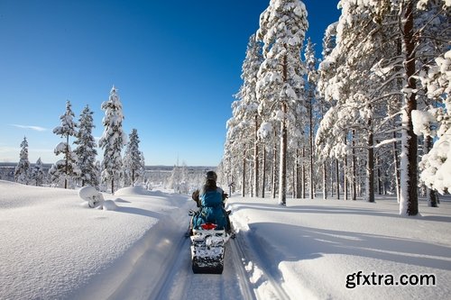 Collection of snowmobiles snow crawler drive a snowmobile trip in the woods 25 HQ Jpeg