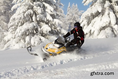 Collection of snowmobiles snow crawler drive a snowmobile trip in the woods 25 HQ Jpeg