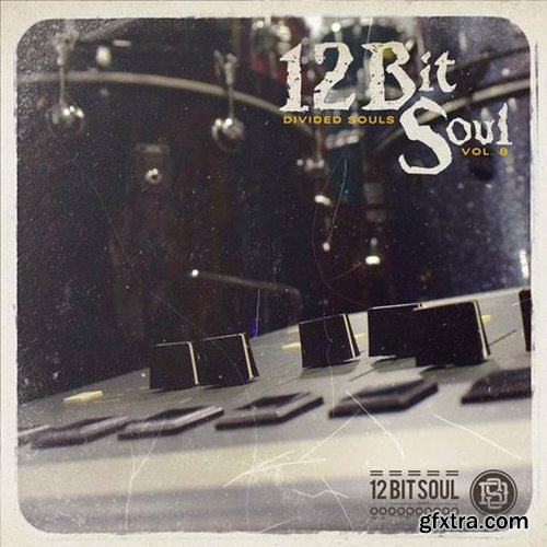 The Drum Sample Broker 12 Bit Soul Vol 8 WAV-FANTASTiC