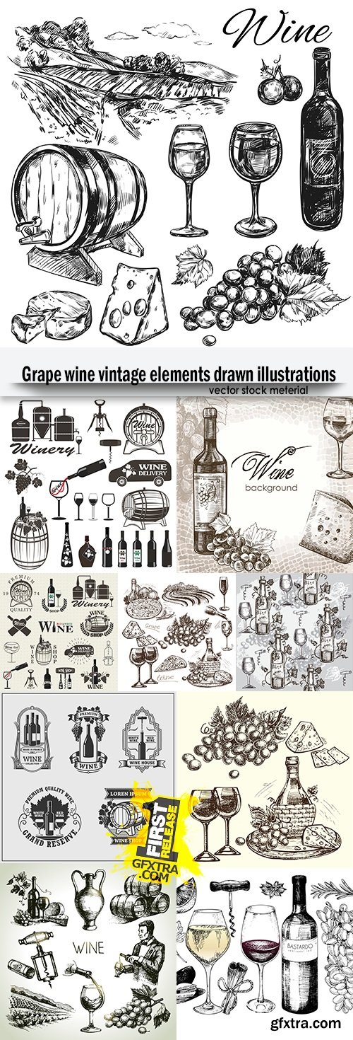 Grape wine vintage elements drawn illustrations