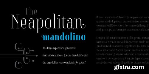 Napolitanka Font Family - 3 Fonts