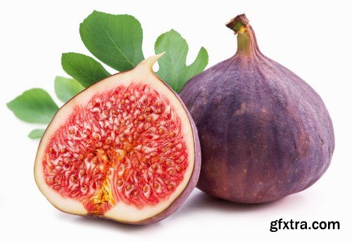 Juicy pomegranates, avacados, watermelon and figs - 20xUHQ JPEG Photo Stock