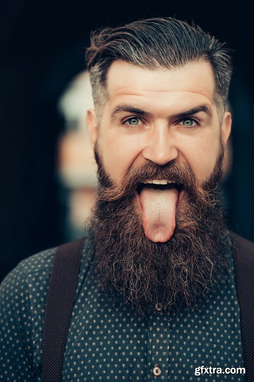 Man with Beard, Brutal Style, Hipster 2 - 26xUHQ JPEG Photo Stock