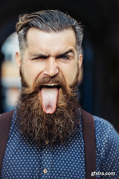 Man with Beard, Brutal Style, Hipster 2 - 26xUHQ JPEG Photo Stock