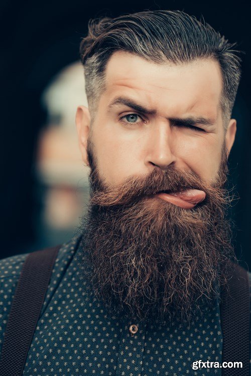 Man with Beard, Brutal Style, Hipster 2 - 26xUHQ JPEG Photo Stock