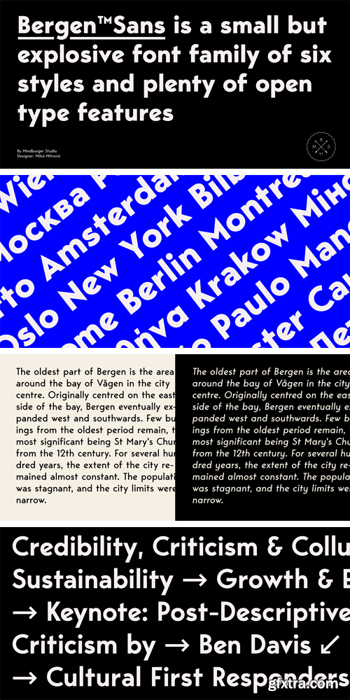 Bergen Sans Font Family