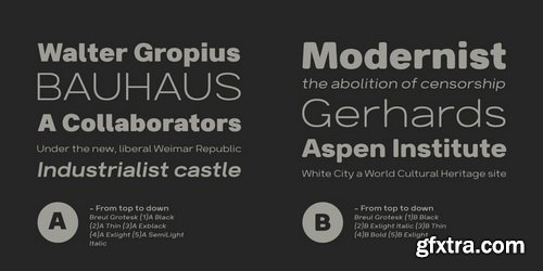 Breul Grotesk Font Family $150