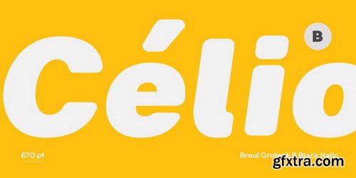 Breul Grotesk Font Family $150