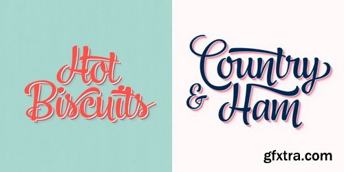 Jazz Script Font Family $119