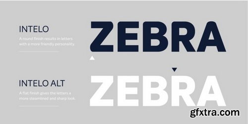 Intelo Font Family $180