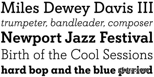 Davist Family - 8 Fonts