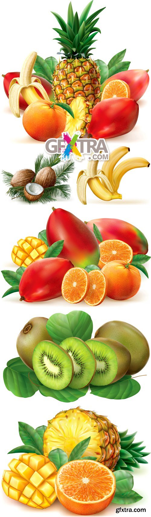 Fruits Vector