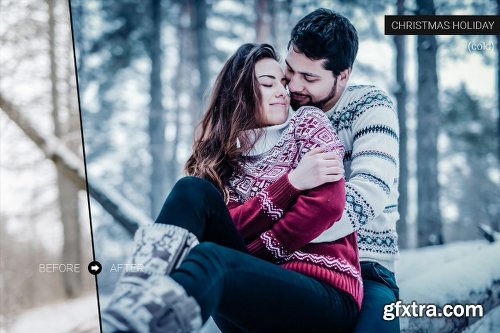 CreativeMarket Christmas Holiday Lightroom Presets 1011771