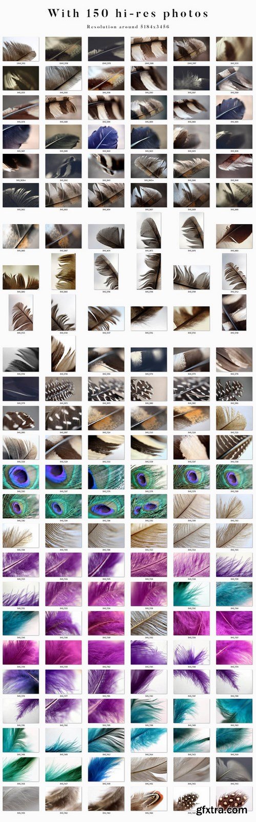 CM - Feather Toolkit - Photos & Graphics 764343