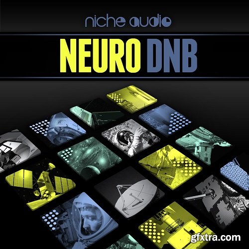 Niche Audio Neuro DNB for NI Maschine-TZG