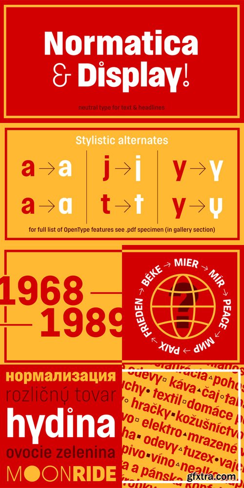 Normatica Font Family $360