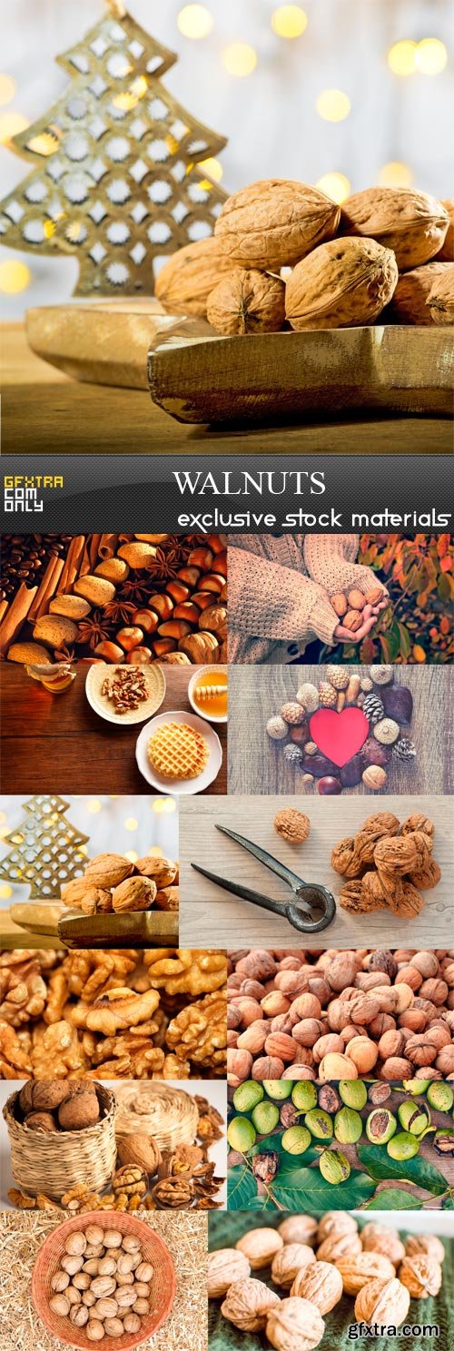 Walnuts - 12 x JPEGs