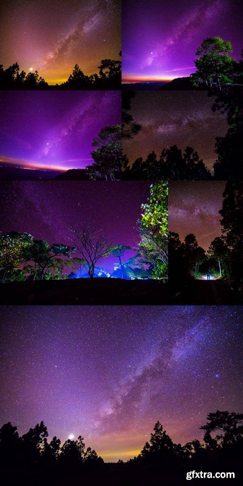 The Milky Way and Some Trees