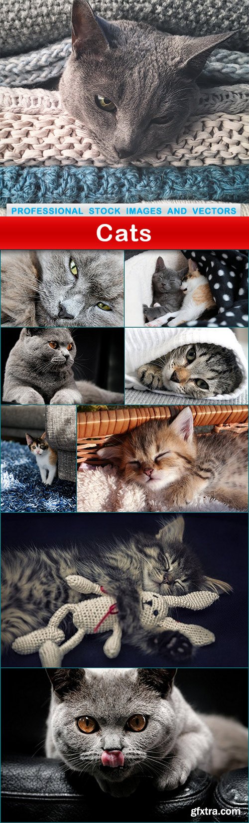 Cats - 9 UHQ JPEG