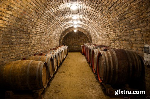 Wine cellar and wine barrels - 14xUHQ JPEG Photo Stock