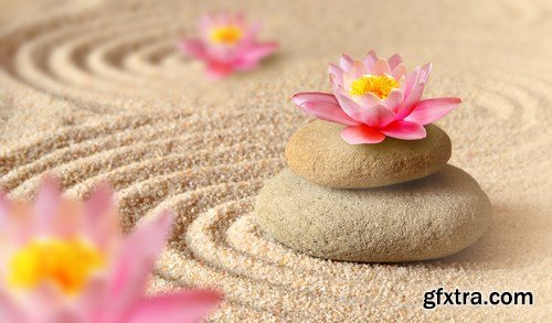 Spa concept & Flower and stones - 16xUHQ JPEG Photo Stock