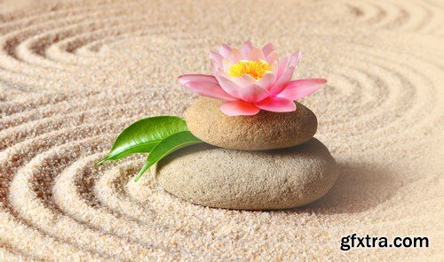 Spa concept & Flower and stones - 16xUHQ JPEG Photo Stock