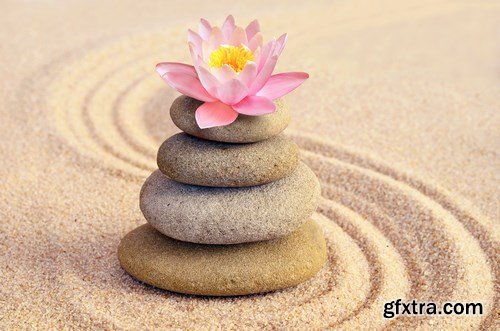 Spa concept & Flower and stones - 16xUHQ JPEG Photo Stock