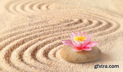 Spa concept & Flower and stones - 16xUHQ JPEG Photo Stock