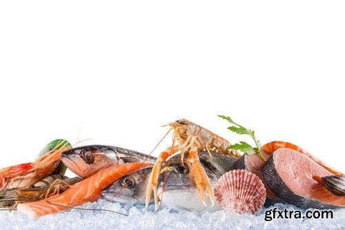 Fresh seafood - 25xUHQ JPEG Photo Stock