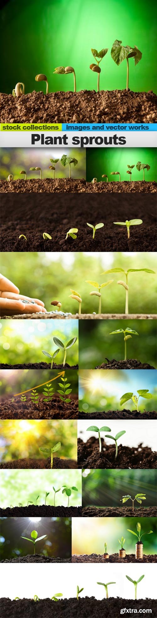 Plant sprouts, 15 x UHQ JPEG