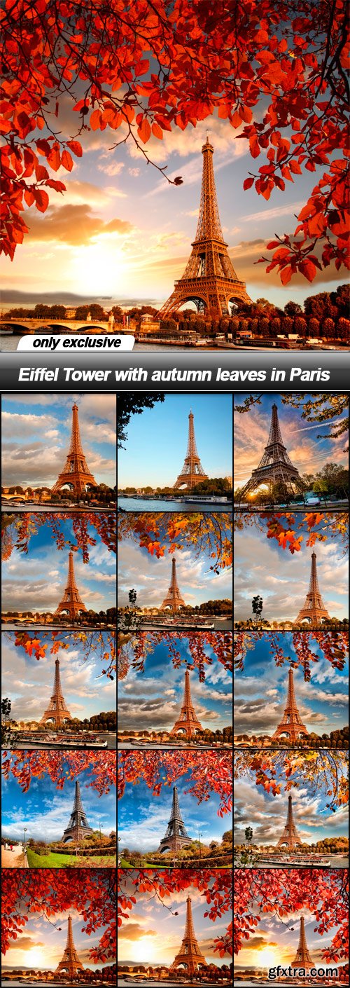 Eiffel Tower with autumn leaves in Paris - 15 EPS