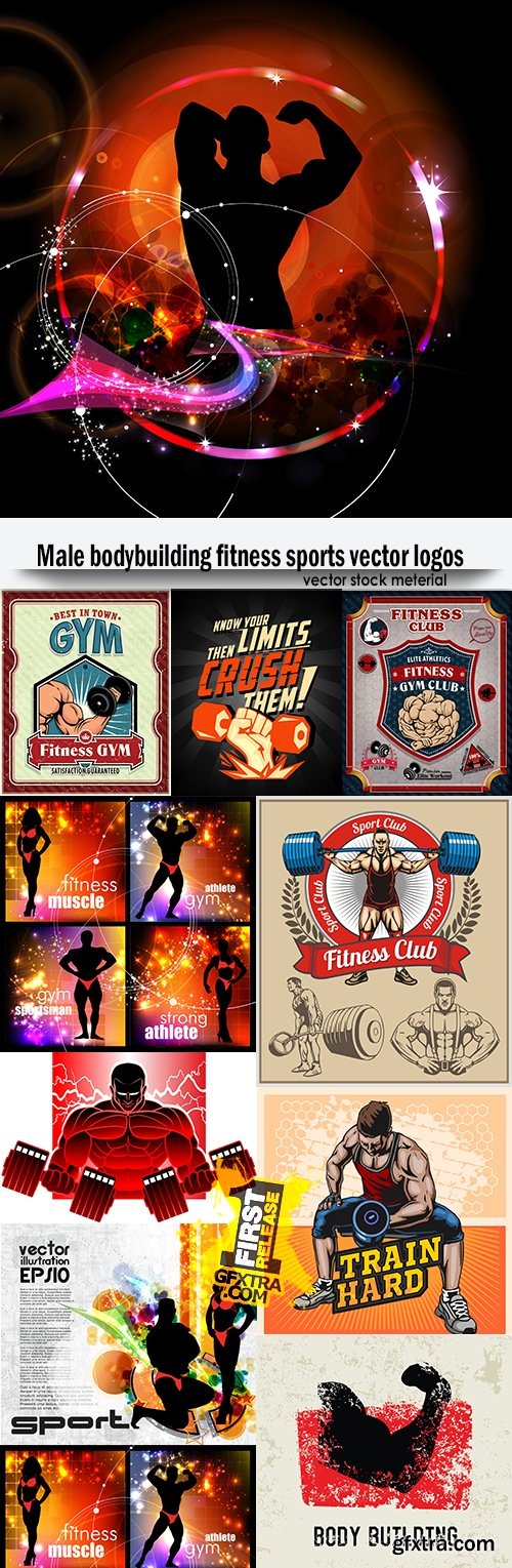 Male bodybuilding fitness sports vector logos