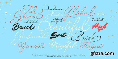 Sudtipos’ Best of Bluemlein Font BUNDLE