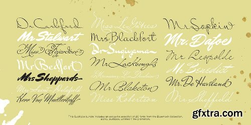 Sudtipos’ Best of Bluemlein Font BUNDLE