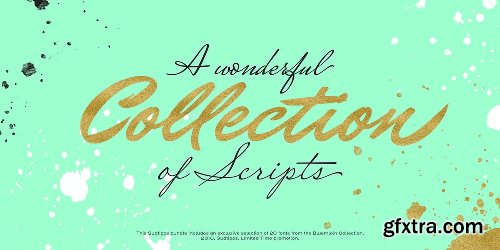 Sudtipos’ Best of Bluemlein Font BUNDLE