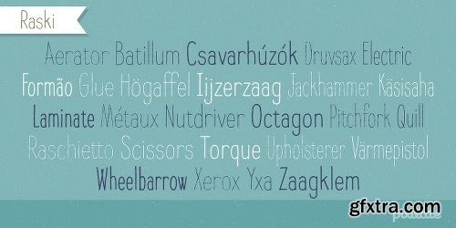 Raski Font Family 6 Fonts