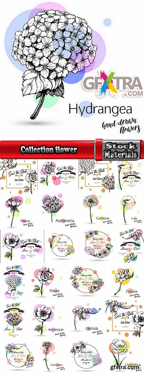 Collection flower bouquet drawing drawn wedding flower 25 EPS