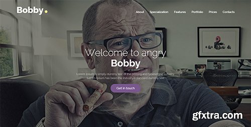 ThemeForest - Bobby - Creative Service Unbounce Landing Page (Update: 22 July 16) - 16131074