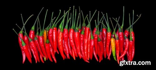 Collection of chilli peppers Bulgarian red yellow spices 25 HQ Jpeg